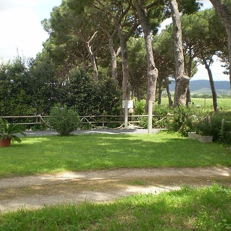 Agriturismo Ternova อัลเบเรเซ ภายนอก รูปภาพ