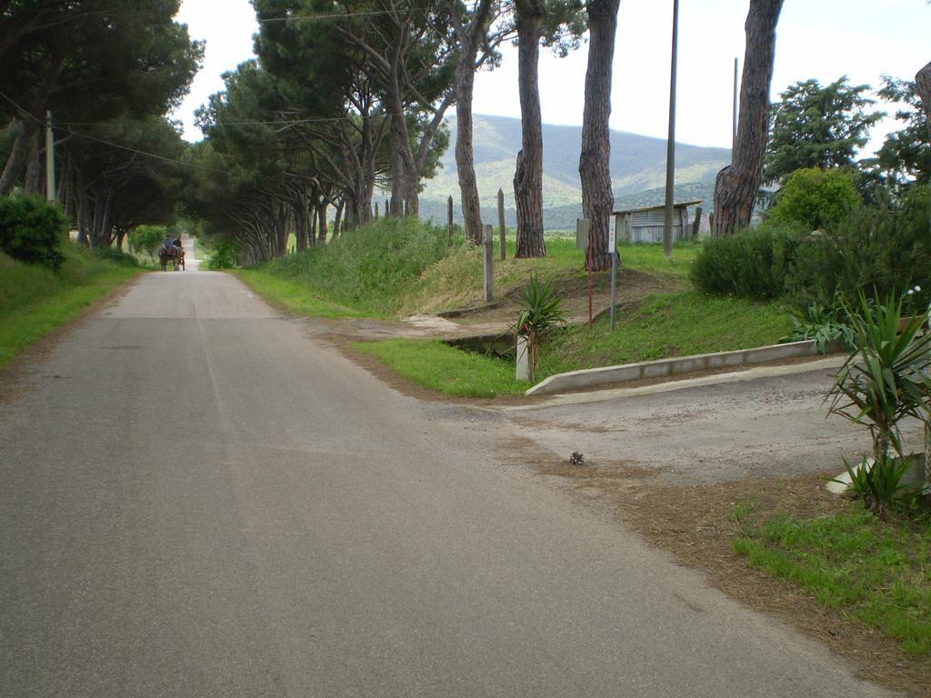 Agriturismo Ternova อัลเบเรเซ ภายนอก รูปภาพ